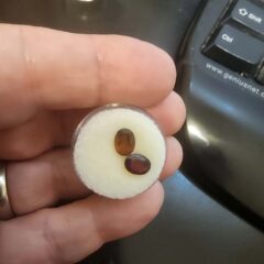 Matched Pair, Garnet, Oval